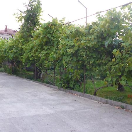 גגרה Guest House U Aleny מראה חיצוני תמונה